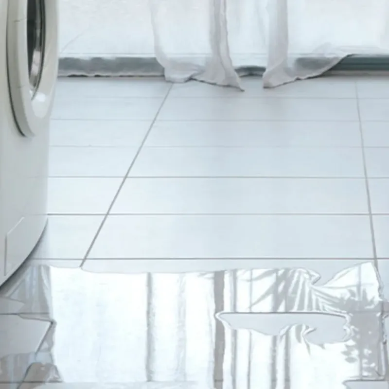 Appliance Leak Cleanup in Hidden Valley, IN