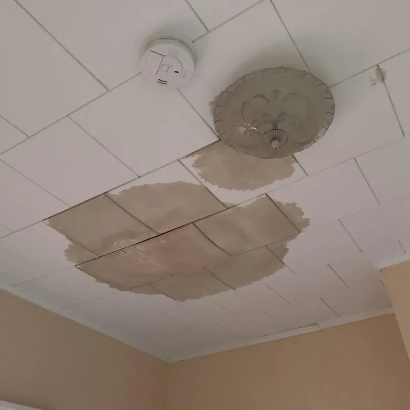 Ceiling Water Damage Repair in Hidden Valley, IN