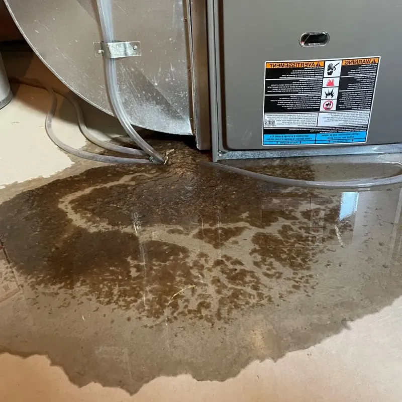 Pipe Burst and Leak Restoration in Hidden Valley, IN