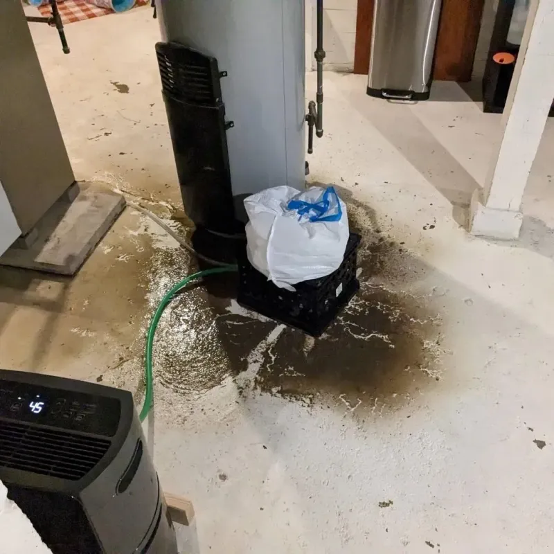 Sewage Backup Cleanup Service in Hidden Valley, IN
